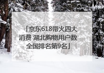 京东618带火四大消费 湖北购物用户数全国排名第9名